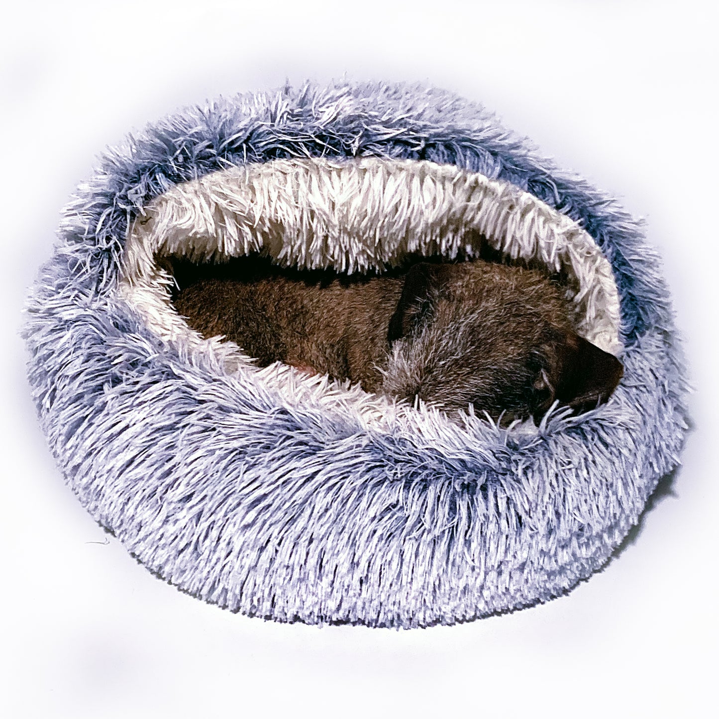 Snuggle Dog Bed - For Small Dogs and Puppies